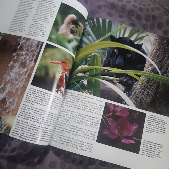 Lot of 2 Animal Magazines Australia and San Diego Zoo - Picture 9 of 9